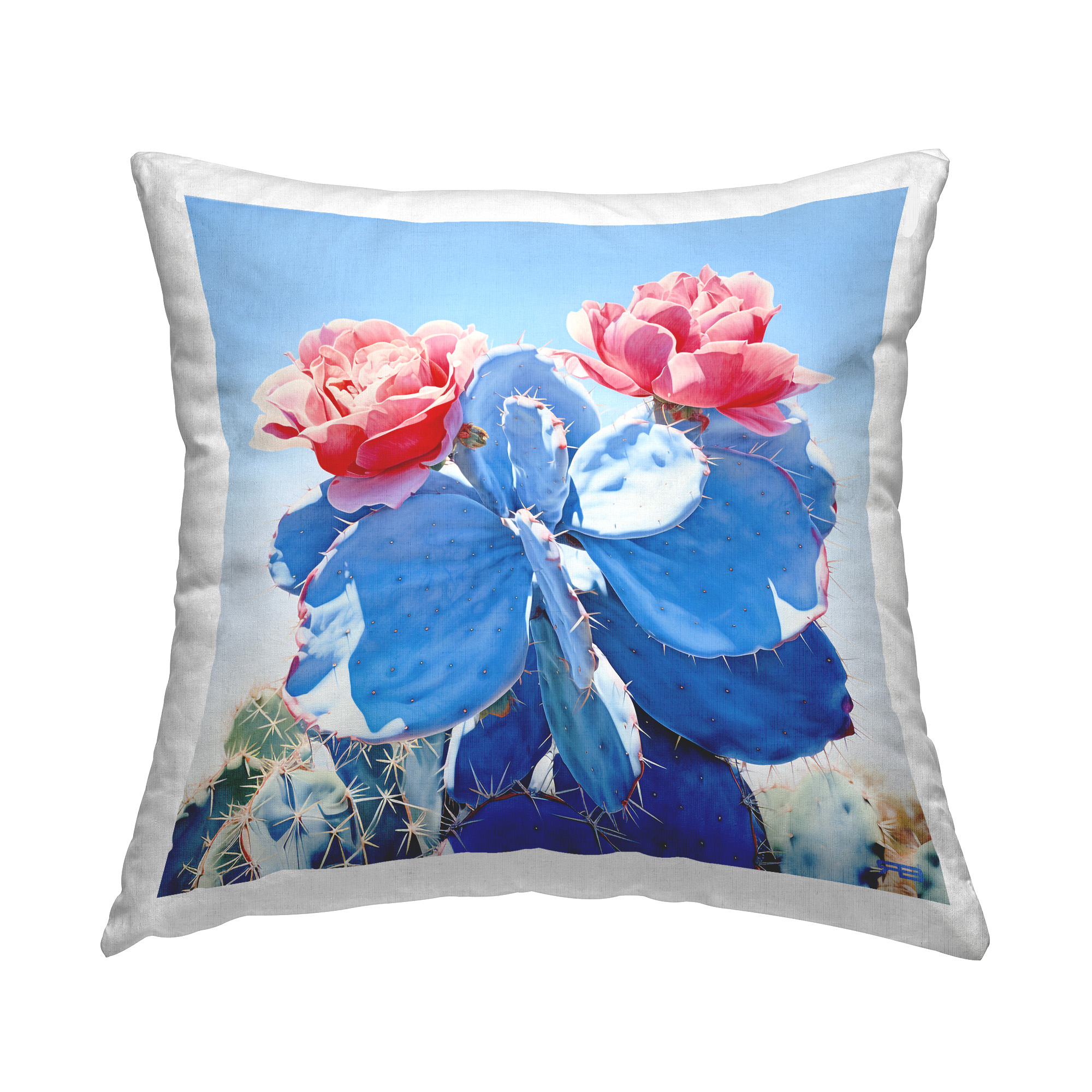 Stupell Industries Blooming Cactus Roses Decorative Printed Throw Pillow Design by RB