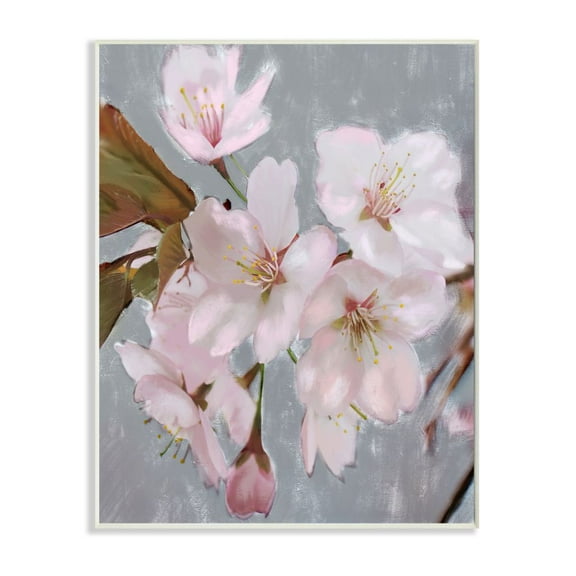 Stupell Industries Blooming Cherry Blossoms on Spring Branch Designed by Daphne Polselli