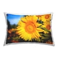 thumbnail image 1 of Stupell Industries Blooming Country Flowers Decorative Printed Throw Pillow, 14 x 20, 1 of 5