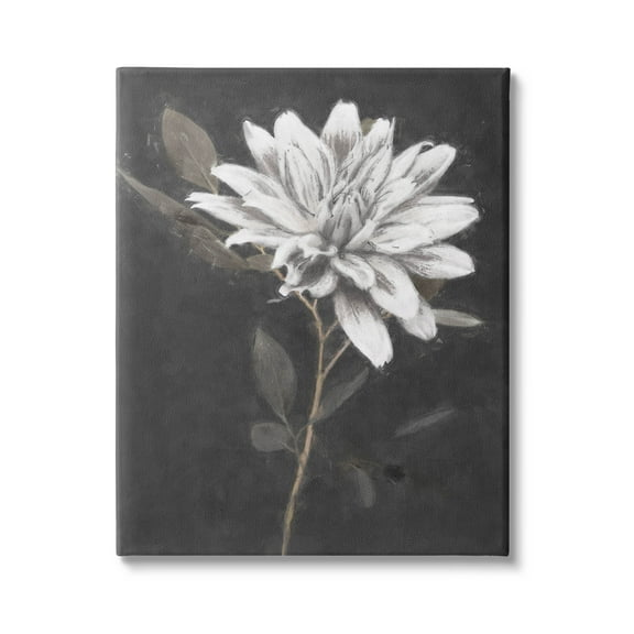 Stupell Industries Blooming Dahlia Flower Black Background Painting Gallery Wrapped Canvas Print Wall Art, Design by Nina Blue