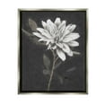 thumbnail image 1 of Stupell Industries Blooming Dahlia Flower Black Background Painting Luster Gray Floating Framed Canvas Print Wall Art, Design by Nina Blue, 1 of 6