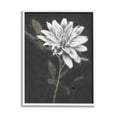 thumbnail image 1 of Stupell Industries Blooming Dahlia Flower Black Background Painting White Framed Art Print Wall Art, Design by Nina Blue, 1 of 7