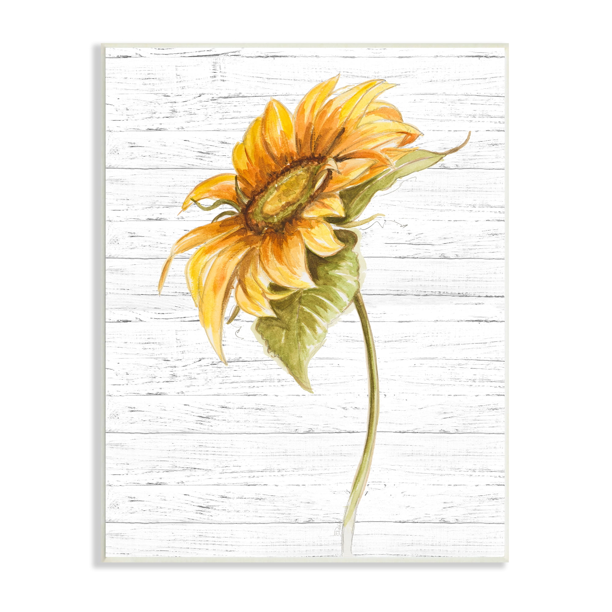 Stupell Industries Blooming Garden Sunflower Yellow Floral Country Pattern, 13 x 19, Designed by Patricia Pinto