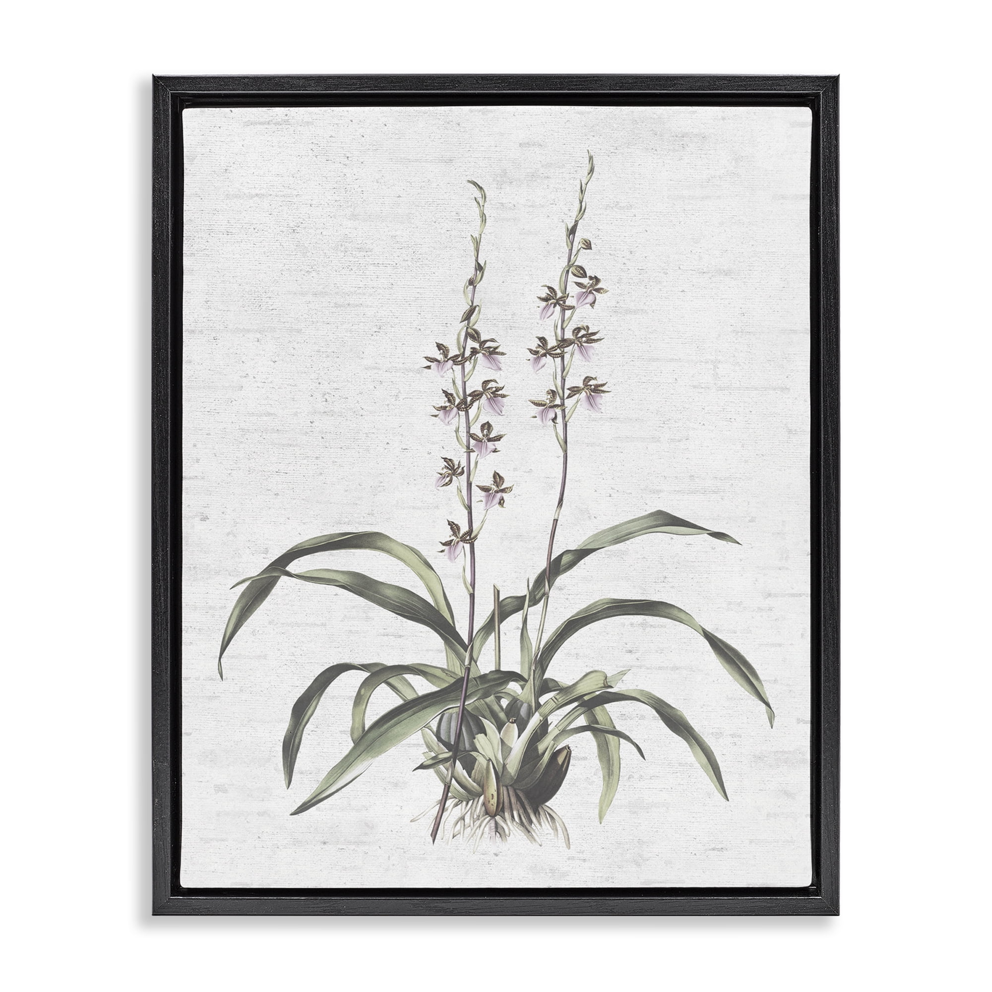 Stupell Industries Blooming Herb Bud Botanical & Floral Painting Black Floater Framed Art Print Wall Art, 25 x 31