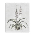 thumbnail image 1 of Stupell Industries Shabby Chic Blooming Herb Bud Canvas Art, 30 x 40, by Lettered and Lined, 1 of 8