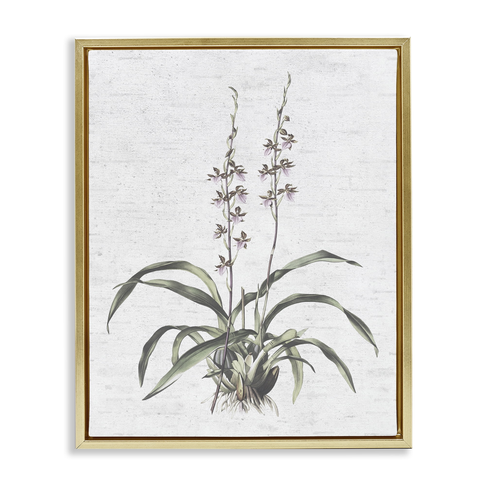 Stupell Industries Blooming Herb Bud Botanical & Floral Painting Gold Floater Framed Art Print Wall Art, 17 x 21