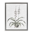 thumbnail image 1 of Stupell Industries Shabby Chic Blooming Herb Bud Gray Floating Frame Canvas Art, 17 x 21, by Lettered and Lined, 1 of 8