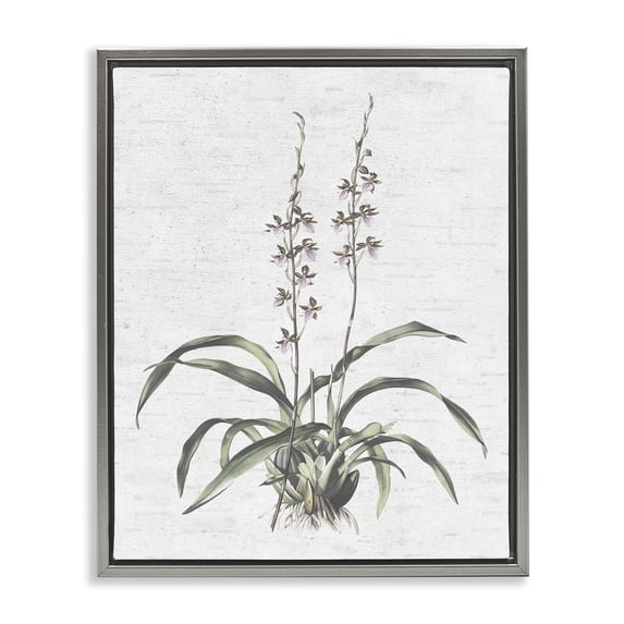 Stupell Industries Shabby Chic Blooming Herb Bud Gray Floating Frame Canvas Art, 17 x 21, by Lettered and Lined