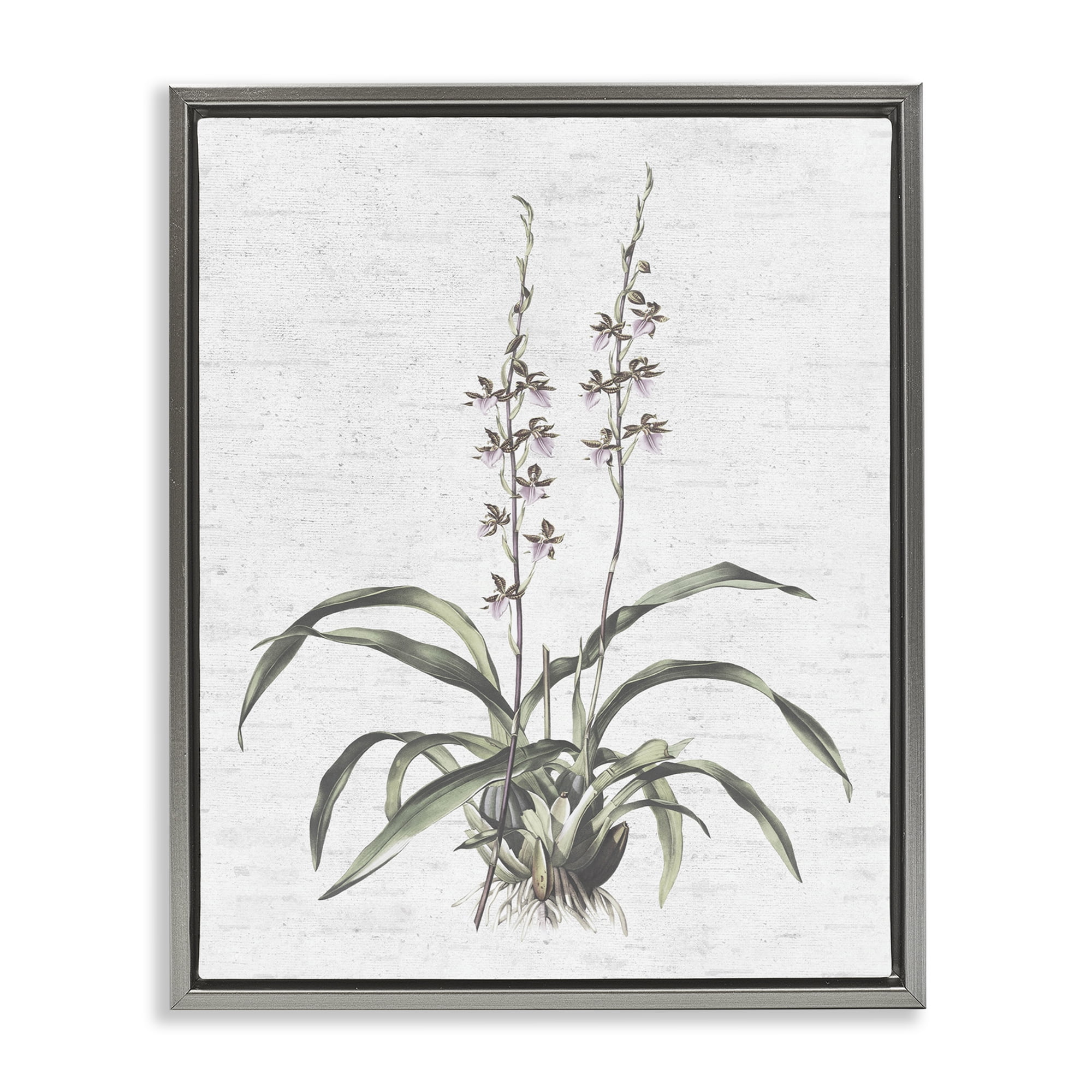 Stupell Industries Blooming Herb Bud Botanical & Floral Painting Gray Floater Framed Art Print Wall Art, 17 x 21