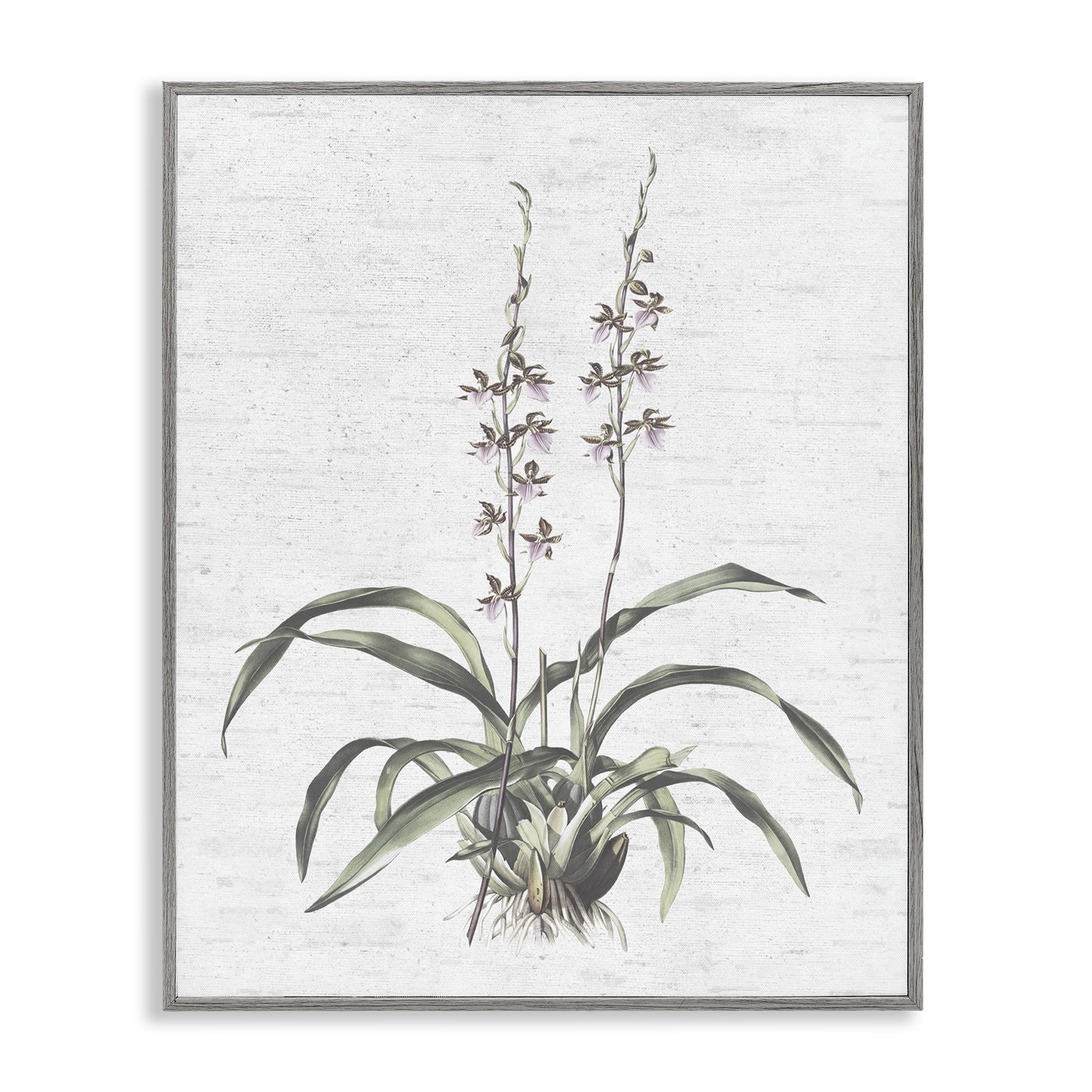 Stupell Industries Blooming Herb Bud Botanical & Floral Painting Gray Framed Art Print Wall Art, 24 x 30