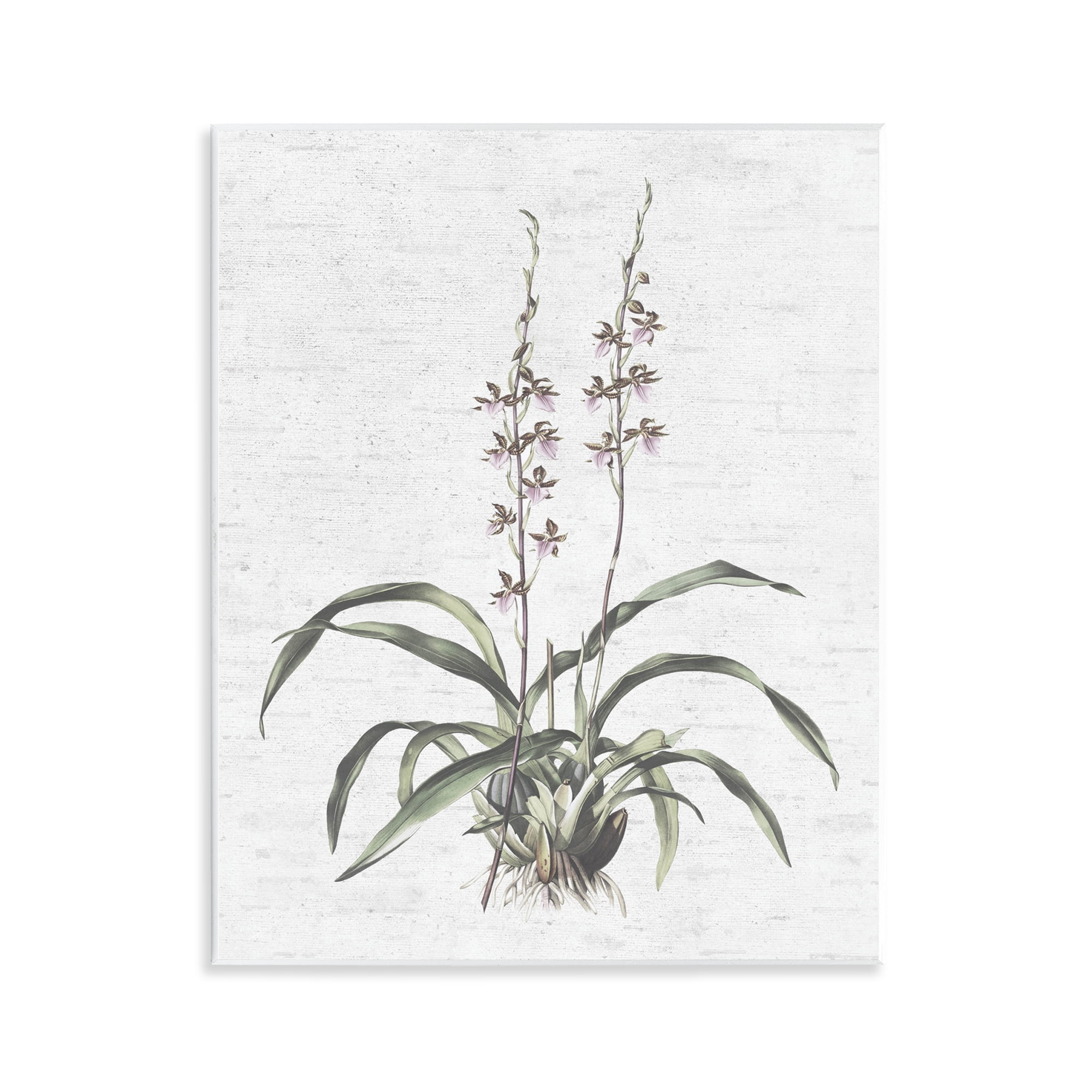 Stupell Industries Blooming Herb Bud Botanical & Floral Painting Unframed Art Print Wall Art, 11 x 14