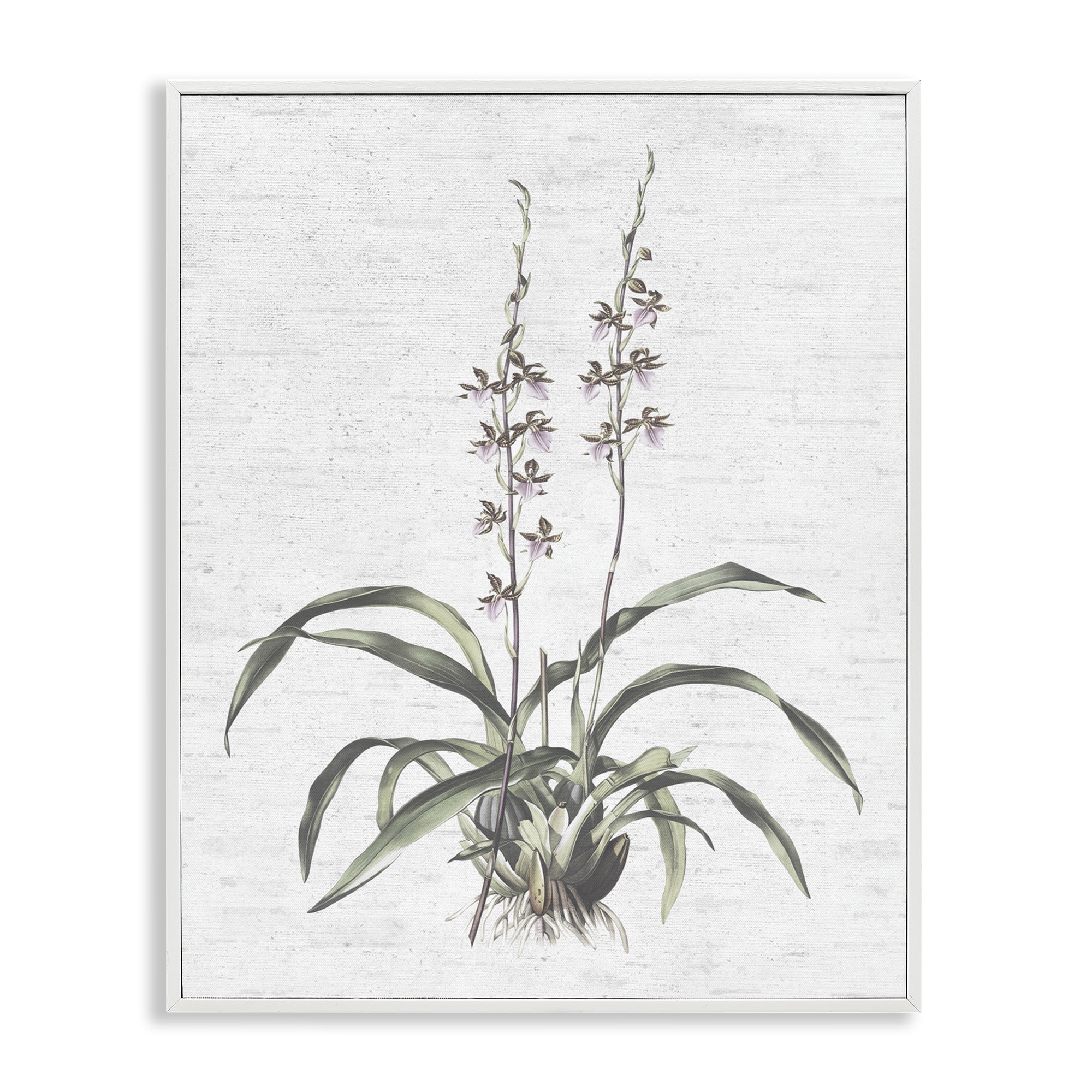Stupell Industries Blooming Herb Bud Botanical & Floral Painting White Framed Art Print Wall Art, 16 x 20