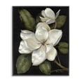 thumbnail image 1 of Stupell Industries Traditional Blooming Magnolia Buds Black Framed Giclee Art, 11 x 14, by Nan, 1 of 8
