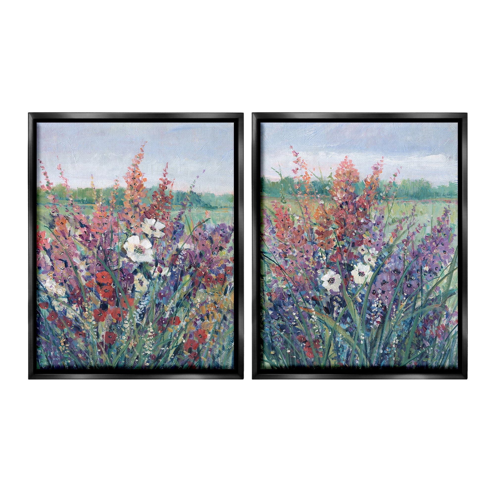 Stupell Industries Blooming Meadow Plants Botanical & Floral Painting Black Floater Framed Canvas Art Print Wall Art, 25 x 31, Set of 2