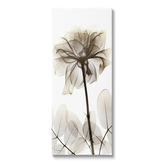 Stupell Industries Blooming Opaque Flower Botanical & Floral Photography Gallery Wrapped Canvas Art Print Wall Art, 10 x 24