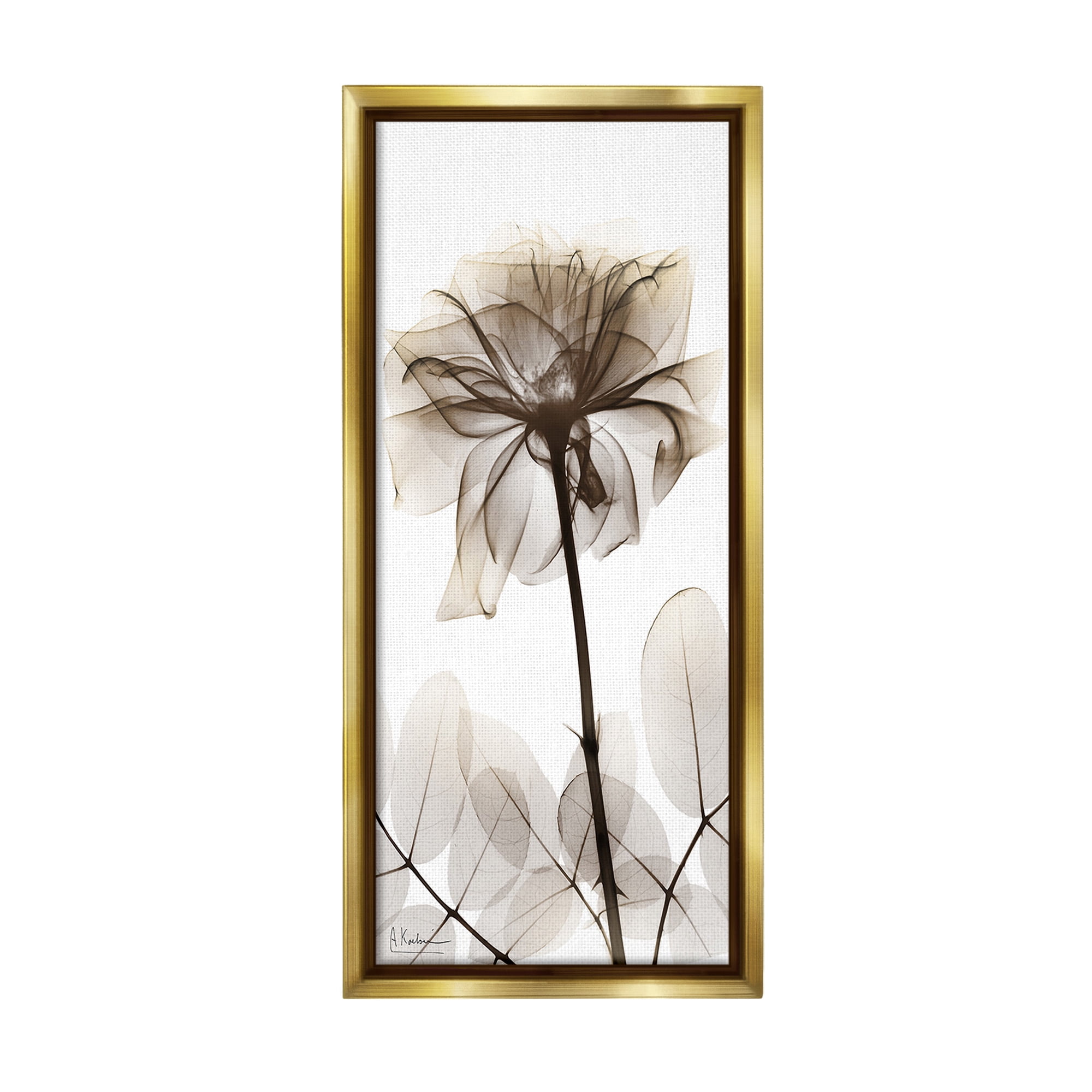 Stupell Industries Blooming Opaque Flower Botanical & Floral Photography Gold Floater Framed Canvas Art Print Wall Art, 14 x 31