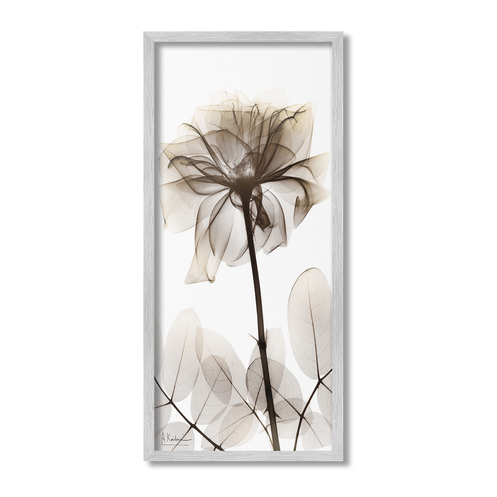 Stupell Industries Blooming Opaque Flower Botanical & Floral Photography Gray Framed Art Print Wall Art, 13 x 30