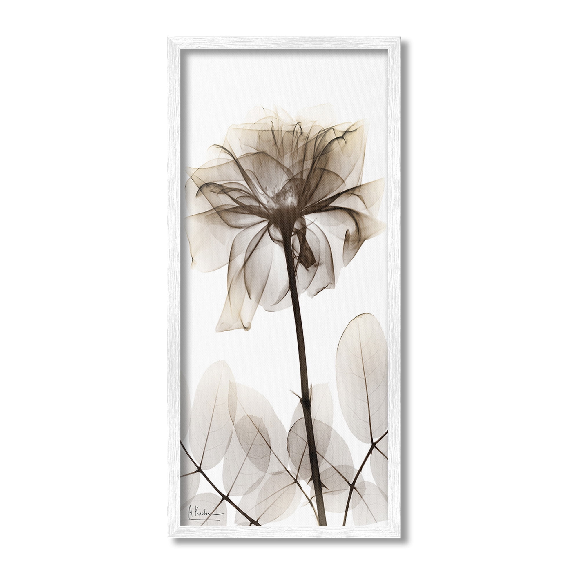 Stupell Industries Blooming Opaque Flower Botanical & Floral Photography White Framed Art Print Wall Art, 10 x 24