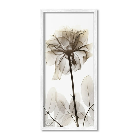 Stupell Industries Blooming Opaque Flower Botanical & Floral Photography White Framed Art Print Wall Art, 13 x 30