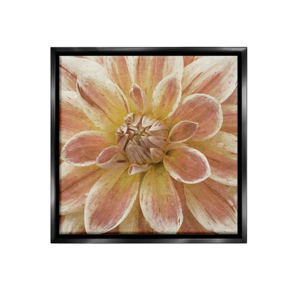 Stupell Industries Blooming Petals Close Up Botanical & Floral Painting Black Floater Framed Canvas Art Print Wall Art, 18 x 18