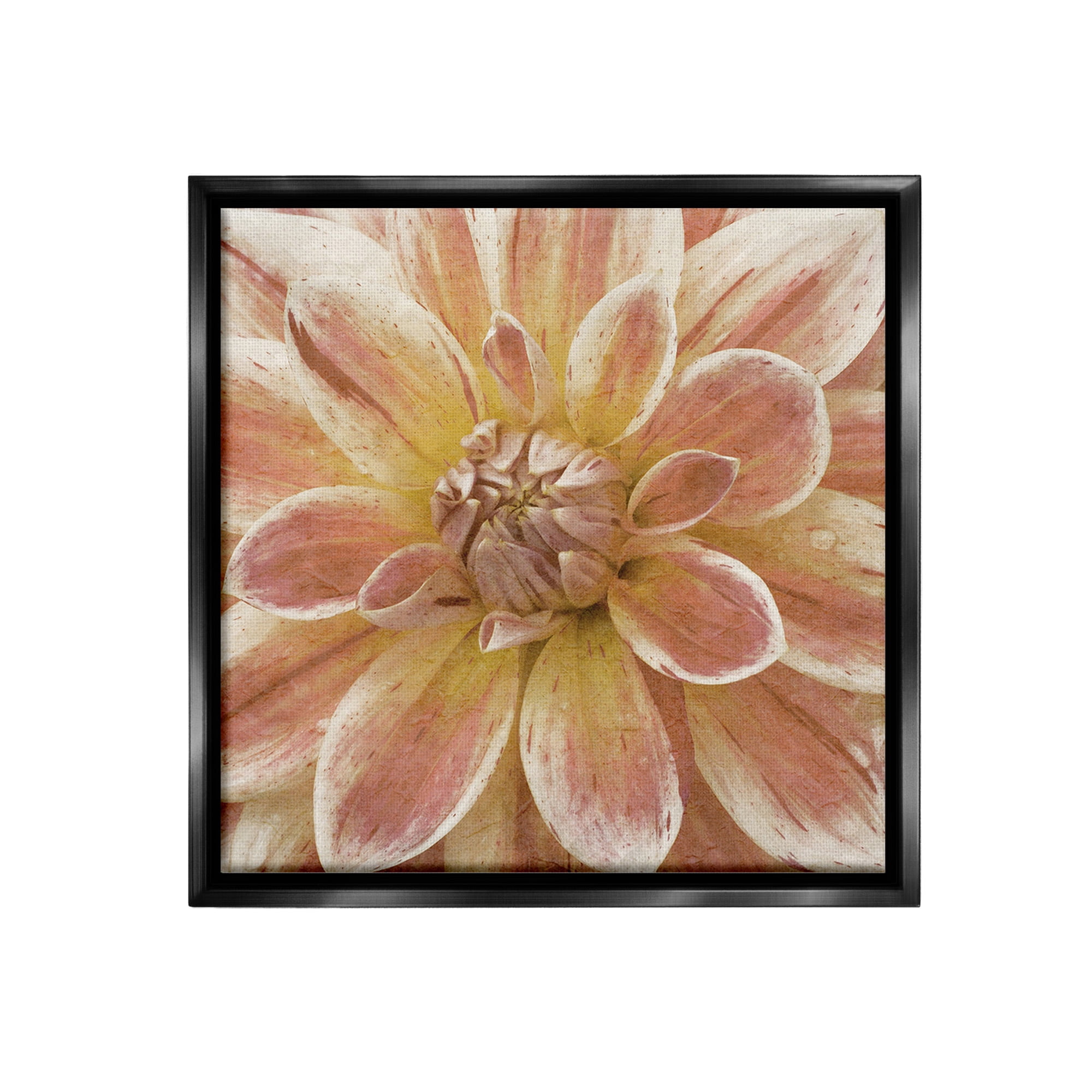 Stupell Industries Blooming Petals Close Up Botanical & Floral Painting Black Floater Framed Canvas Art Print Wall Art, 25 x 25