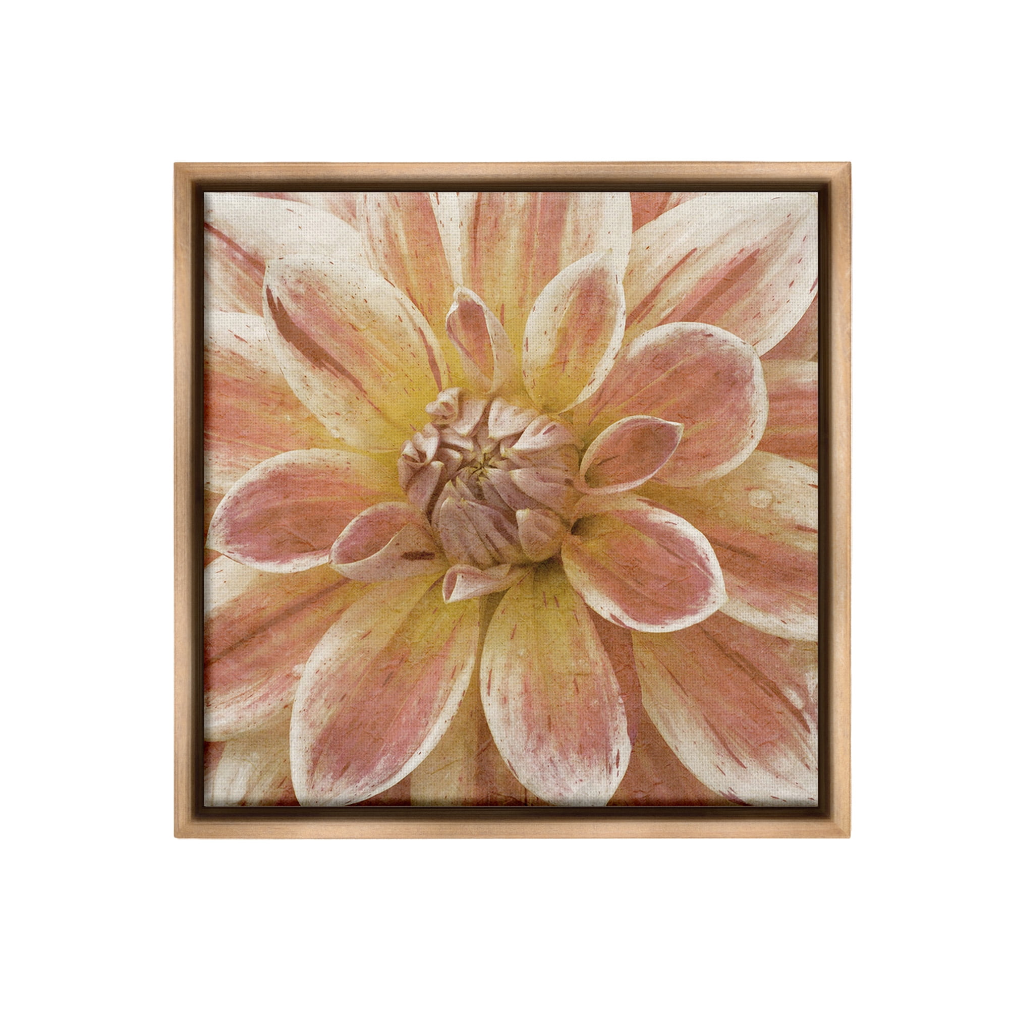 Stupell Industries Blooming Petals Close Up Botanical & Floral Painting Brown Floater Framed Canvas Art Print Wall Art, 18 x 18