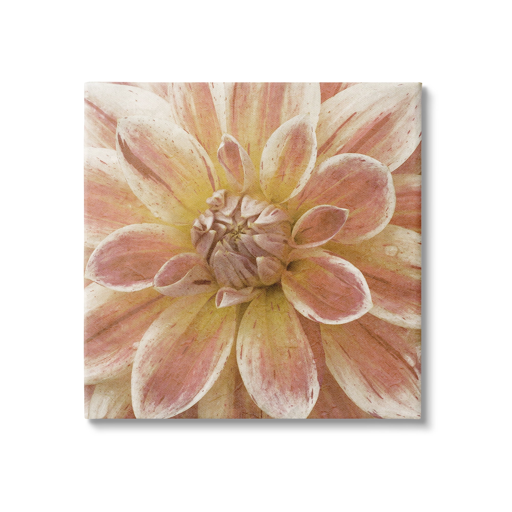 Stupell Industries Blooming Petals Close Up Botanical & Floral Painting Gallery Wrapped Canvas Art Print Wall Art, 30 x 30