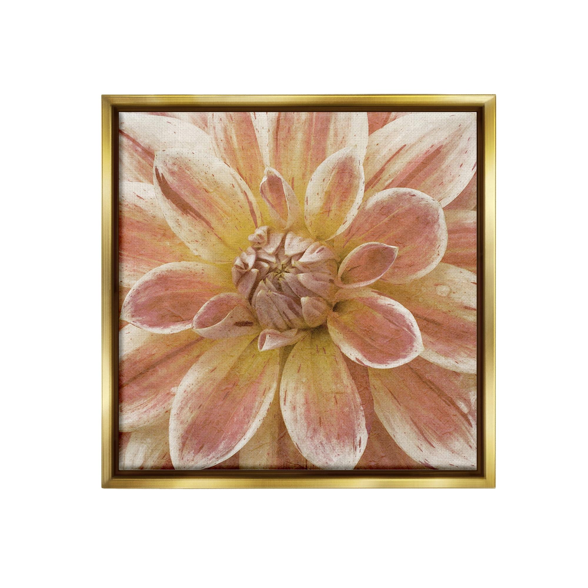 Stupell Industries Blooming Petals Close Up Botanical & Floral Painting Gold Floater Framed Canvas Art Print Wall Art, 25 x 25