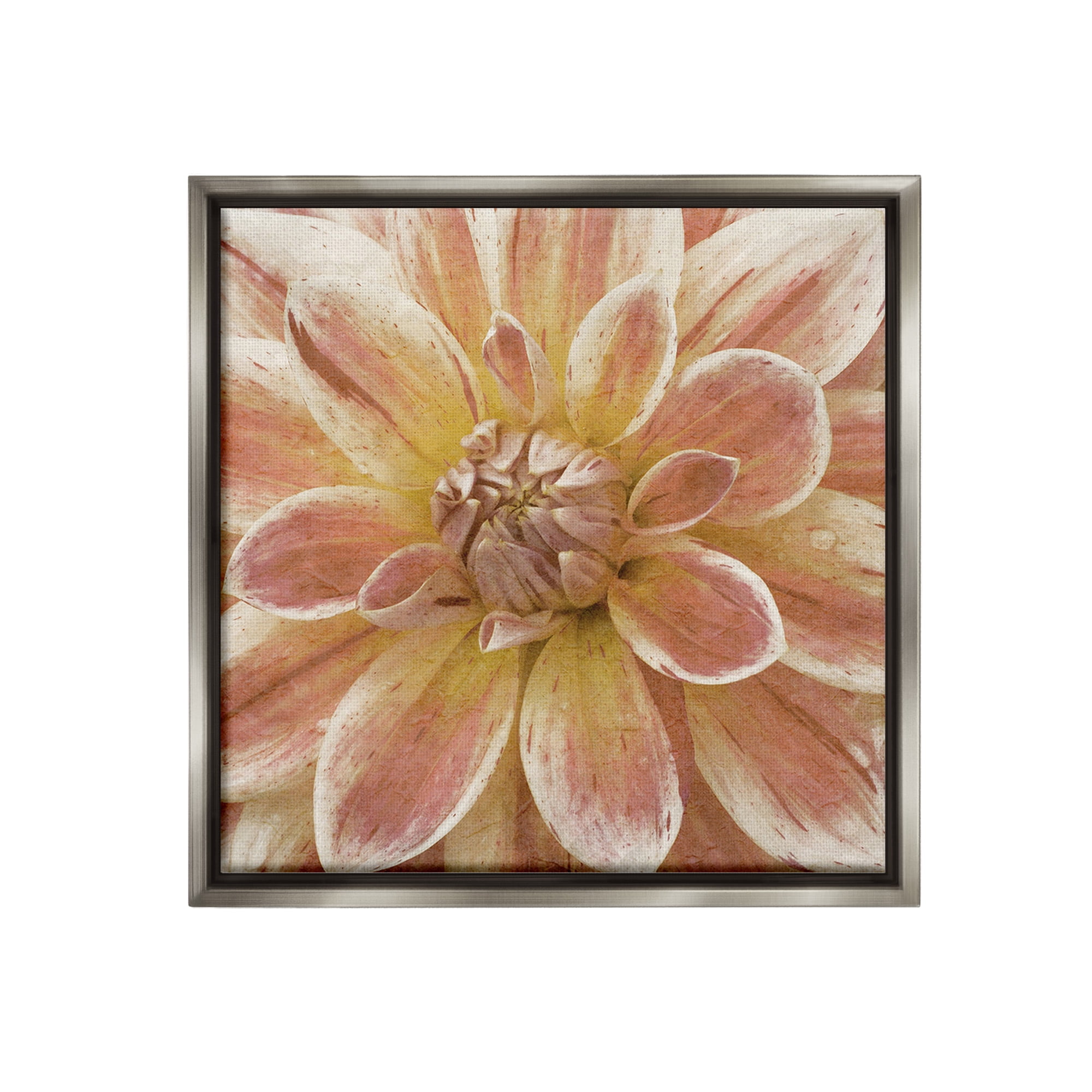 Stupell Industries Blooming Petals Close Up Botanical & Floral Painting Gray Floater Framed Canvas Art Print Wall Art, 18 x 18