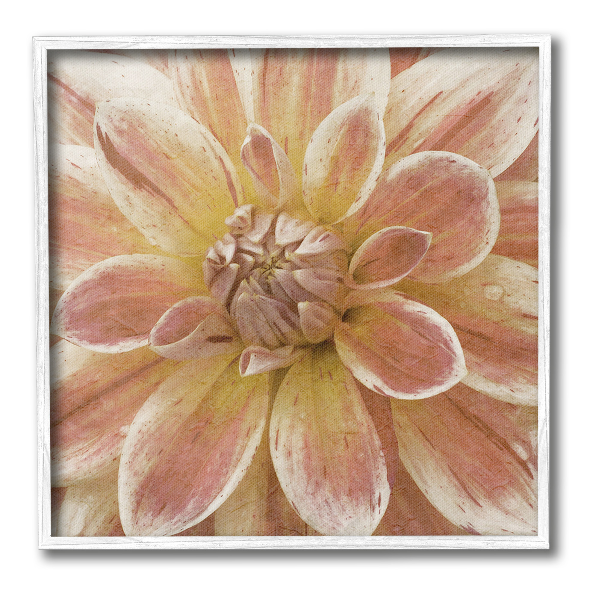 Stupell Industries Blooming Petals Close Up Botanical & Floral Painting White Framed Art Print Wall Art, 24 x 24