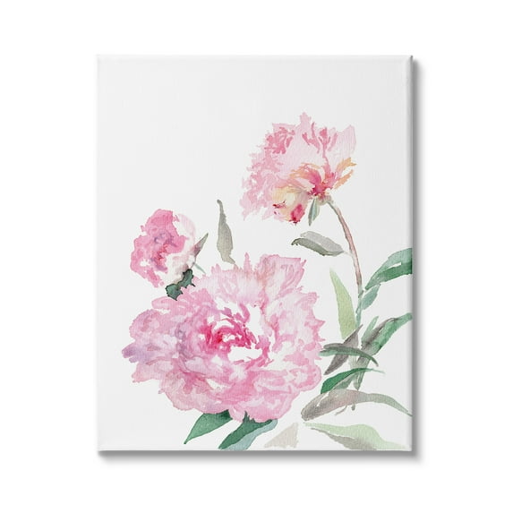 Stupell Industries Blooming Pink Peonies Abstract Floral Watercolor Painting, 24 x 30, Design by Verbrugge Watercolor