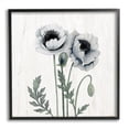 thumbnail image 1 of Stupell Industries Blooming Poppy Flower Buds Rustic Panel Pattern Graphic Art Black Framed Art Print Wall Art, Design by Kourtni Gunn, 1 of 5