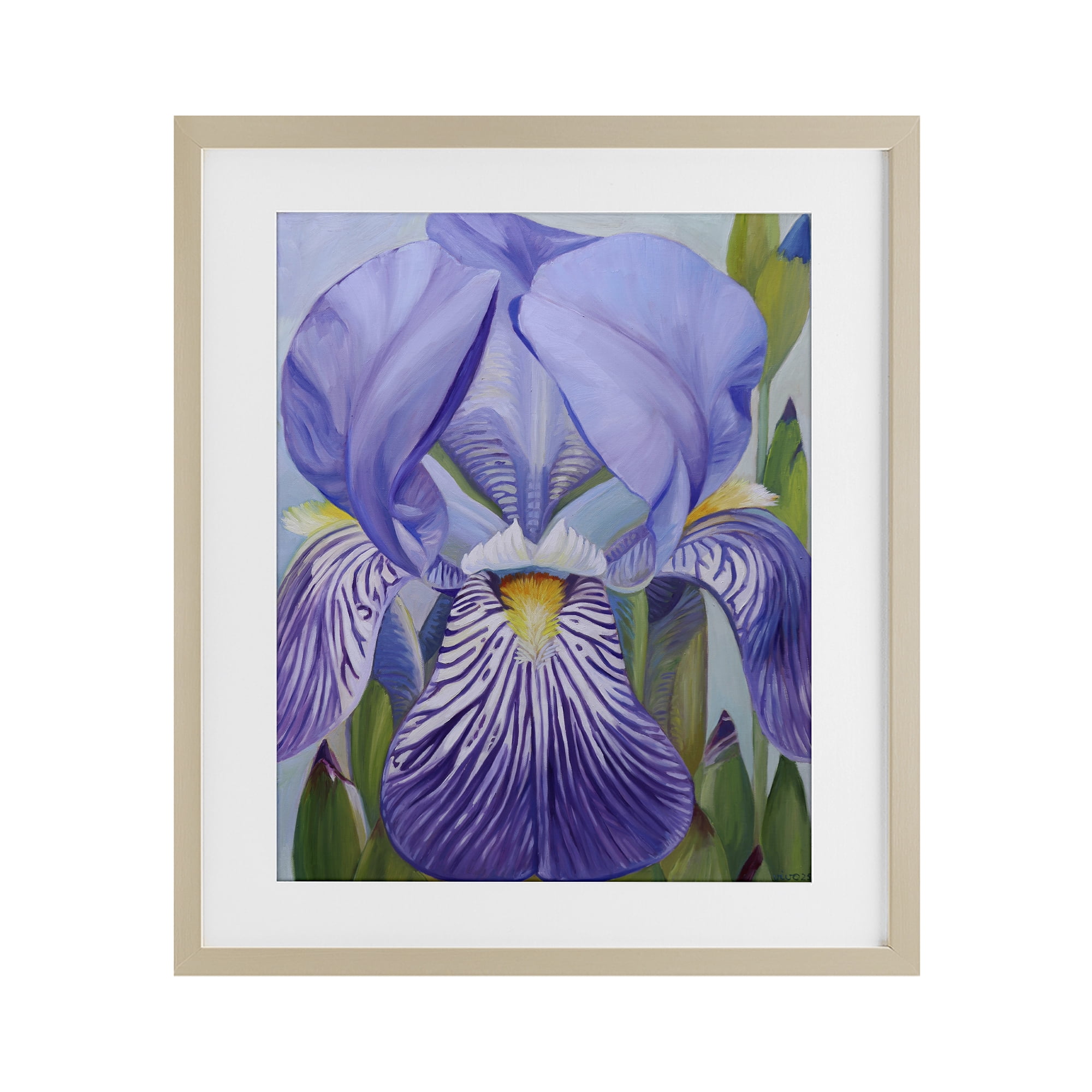 Stupell Industries Blooming Purple Iris Petals Birch Framed Print Under Glass, design by Violeta Vollmer