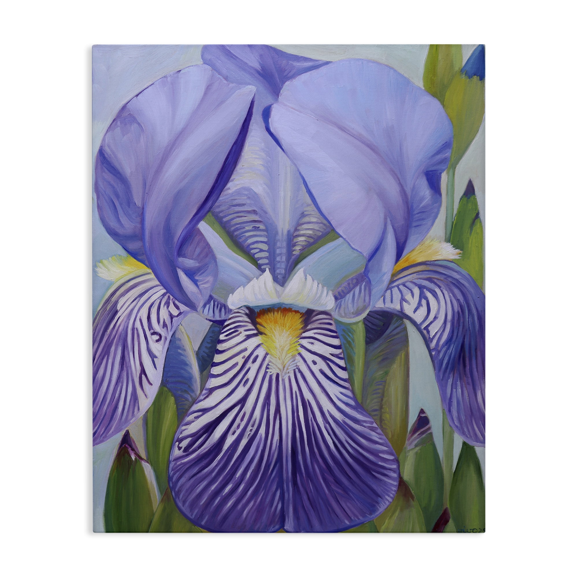 Stupell Industries Blooming Purple Iris Petals Canvas Wall Art, design by Violeta Vollmer