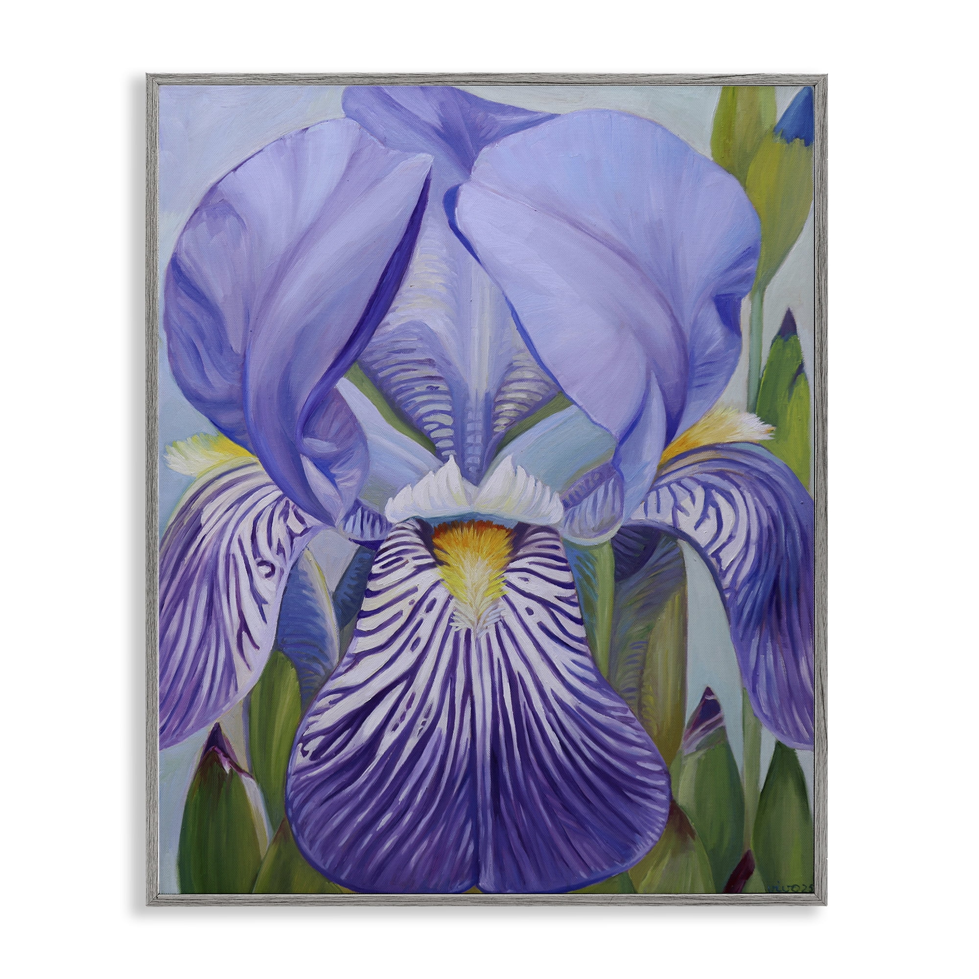 Stupell Industries Blooming Purple Iris Petals Gray Framed Giclee Art, design by Violeta Vollmer