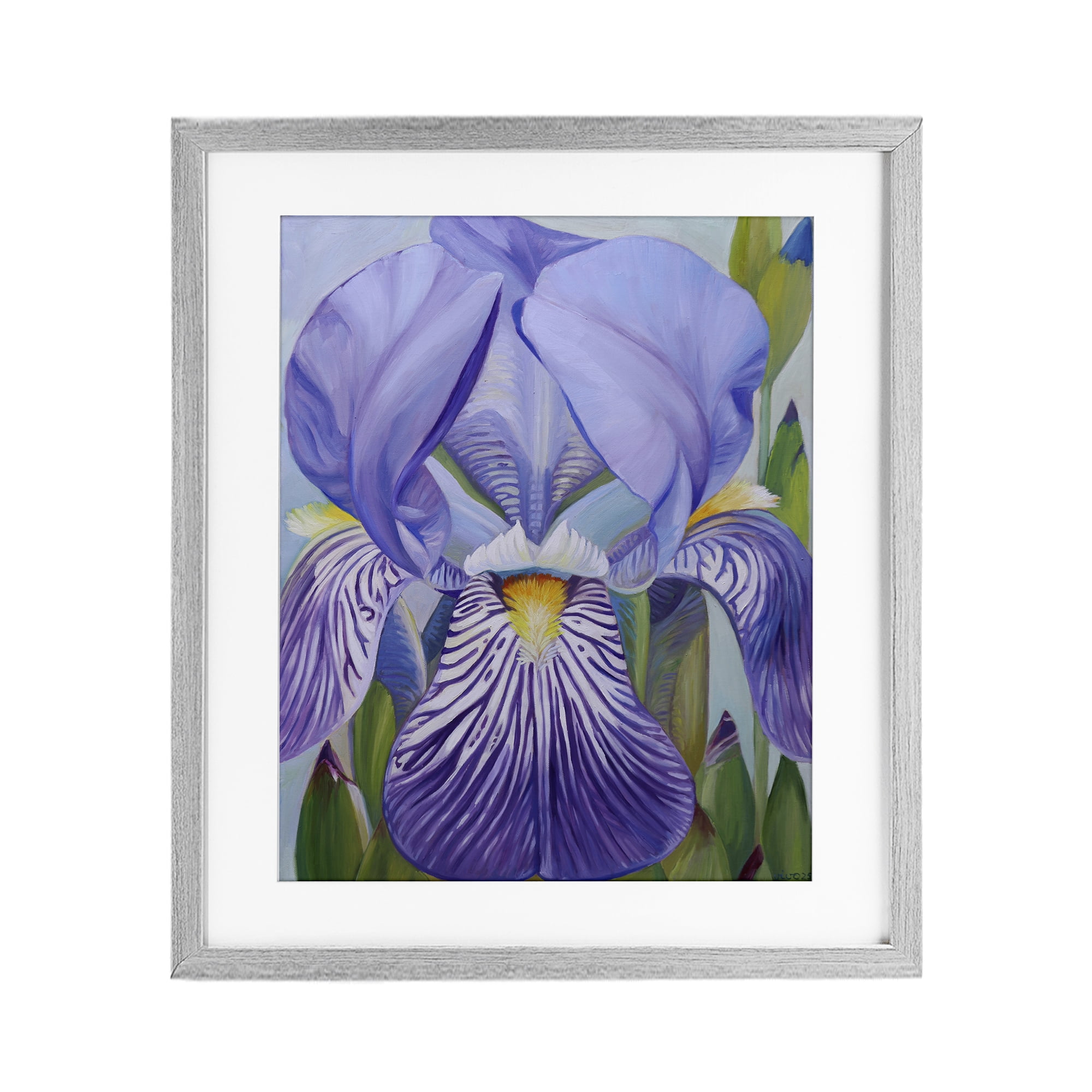 Stupell Industries Blooming Purple Iris Petals Gray Framed Print Under Glass, design by Violeta Vollmer