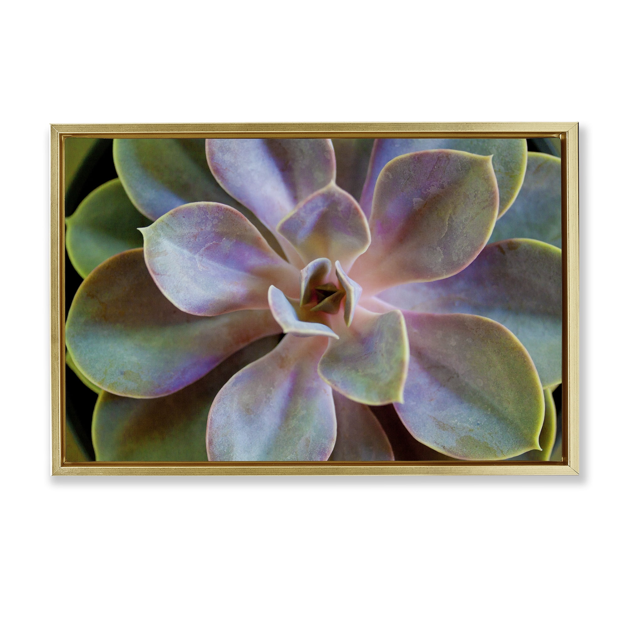 Stupell Industries Blooming Succulent Leaves Plants & Flowers Photography Gold Floater Framed Canvas Art Print Wall Art, 25 x 17