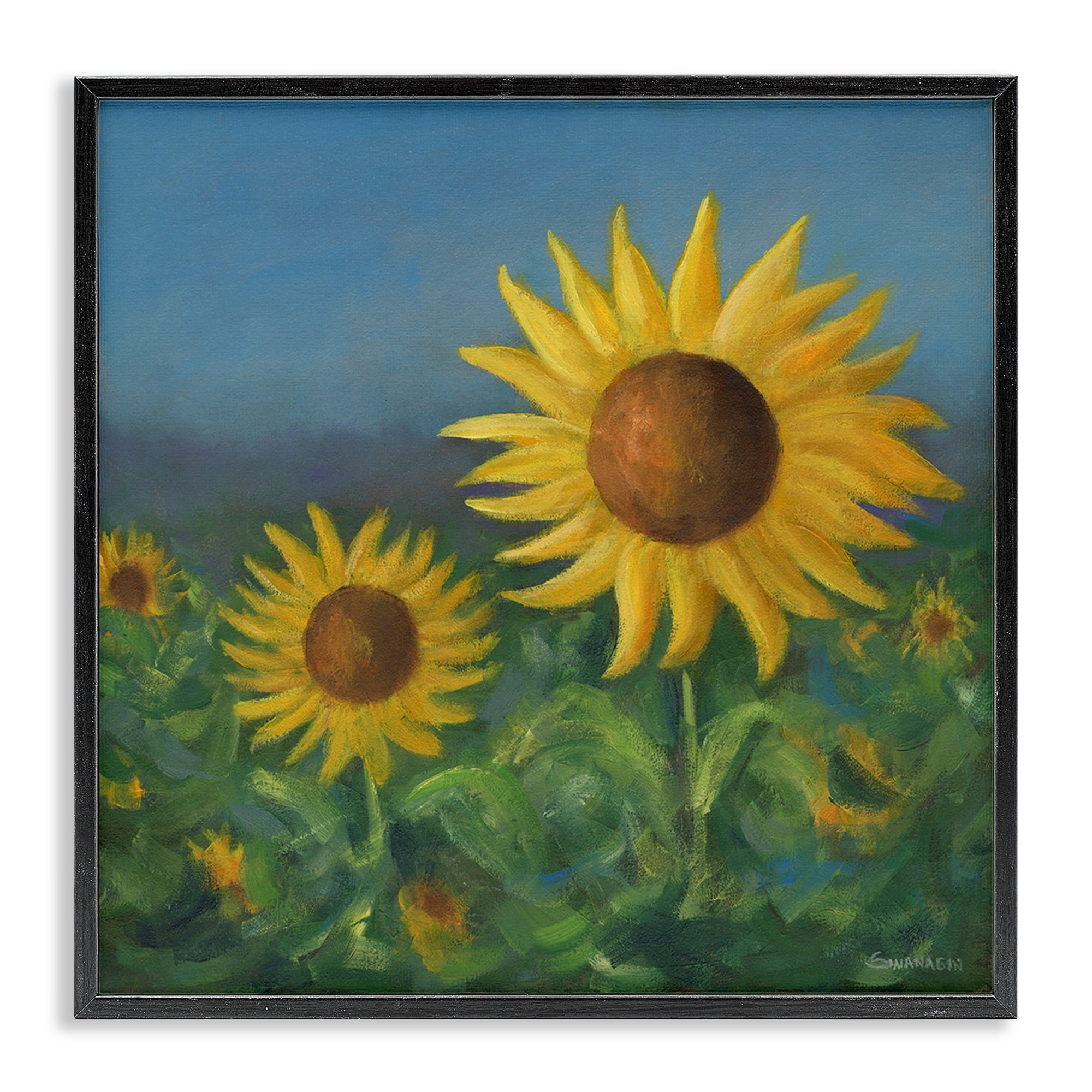 Stupell Industries Blooming Sunflower Meadow Botanical & Floral Painting Black Framed Art Print Wall Art, 12 x 12