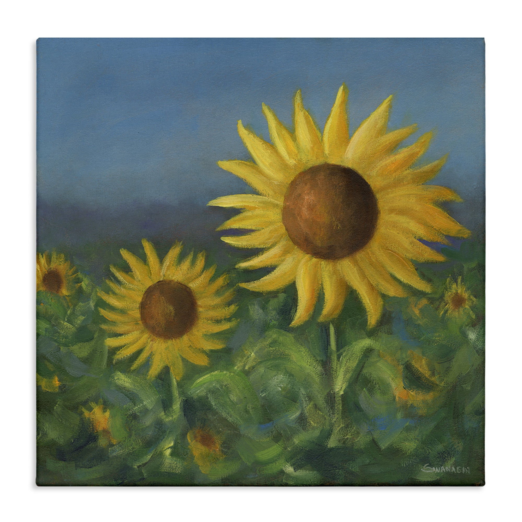 Stupell Industries Blooming Sunflower Meadow Botanical & Floral Painting Gallery Wrapped Canvas Art Print Wall Art, 24 x 24