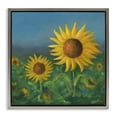 thumbnail image 1 of Stupell Industries Blooming Sunflower Meadow Botanical & Floral Painting Gray Floater Framed Art Print Wall Art, 18 x 18, 1 of 10