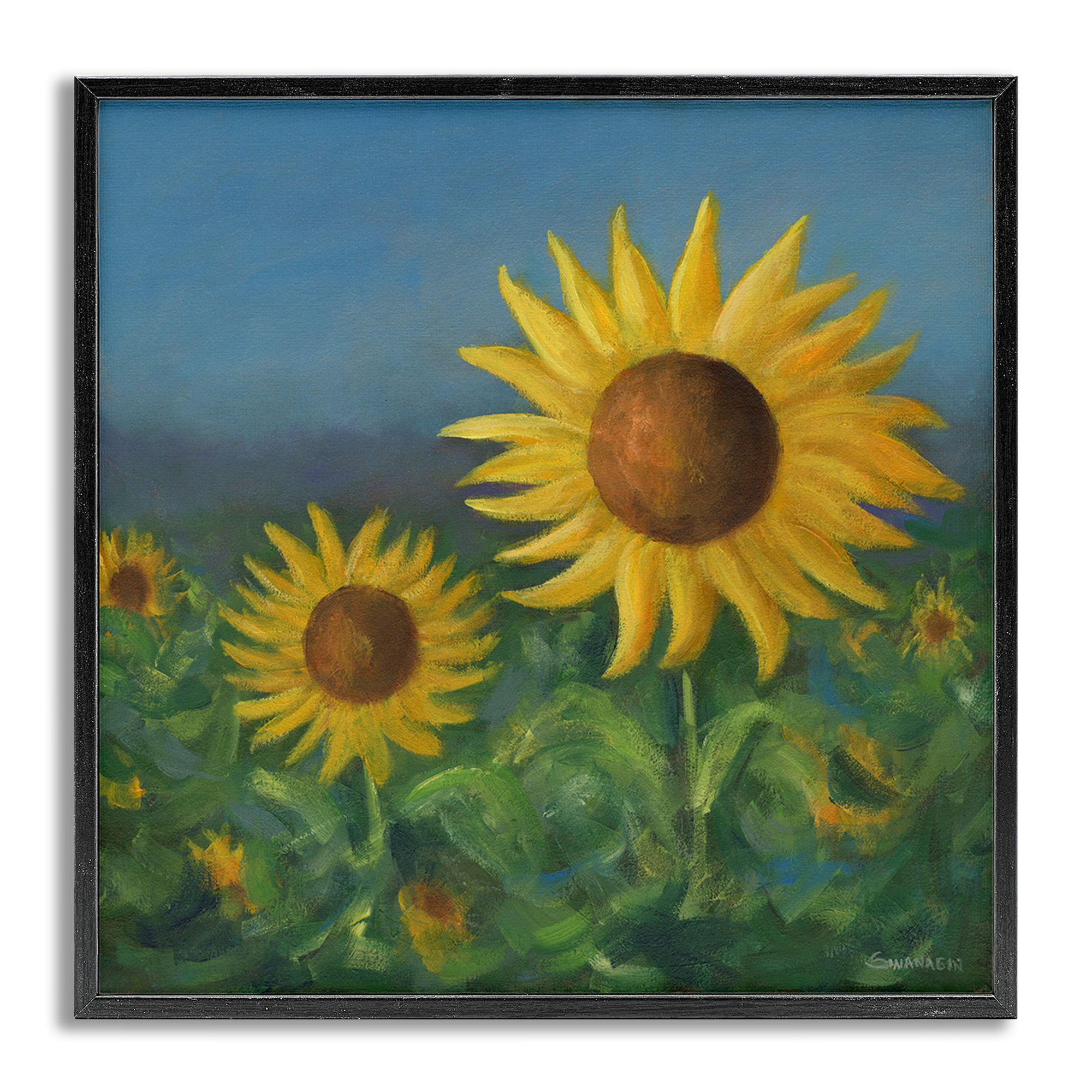 Stupell Industries Blooming Sunflower Meadow Botanical & Floral Painting Gray Framed Art Print Wall Art, 24 x 24
