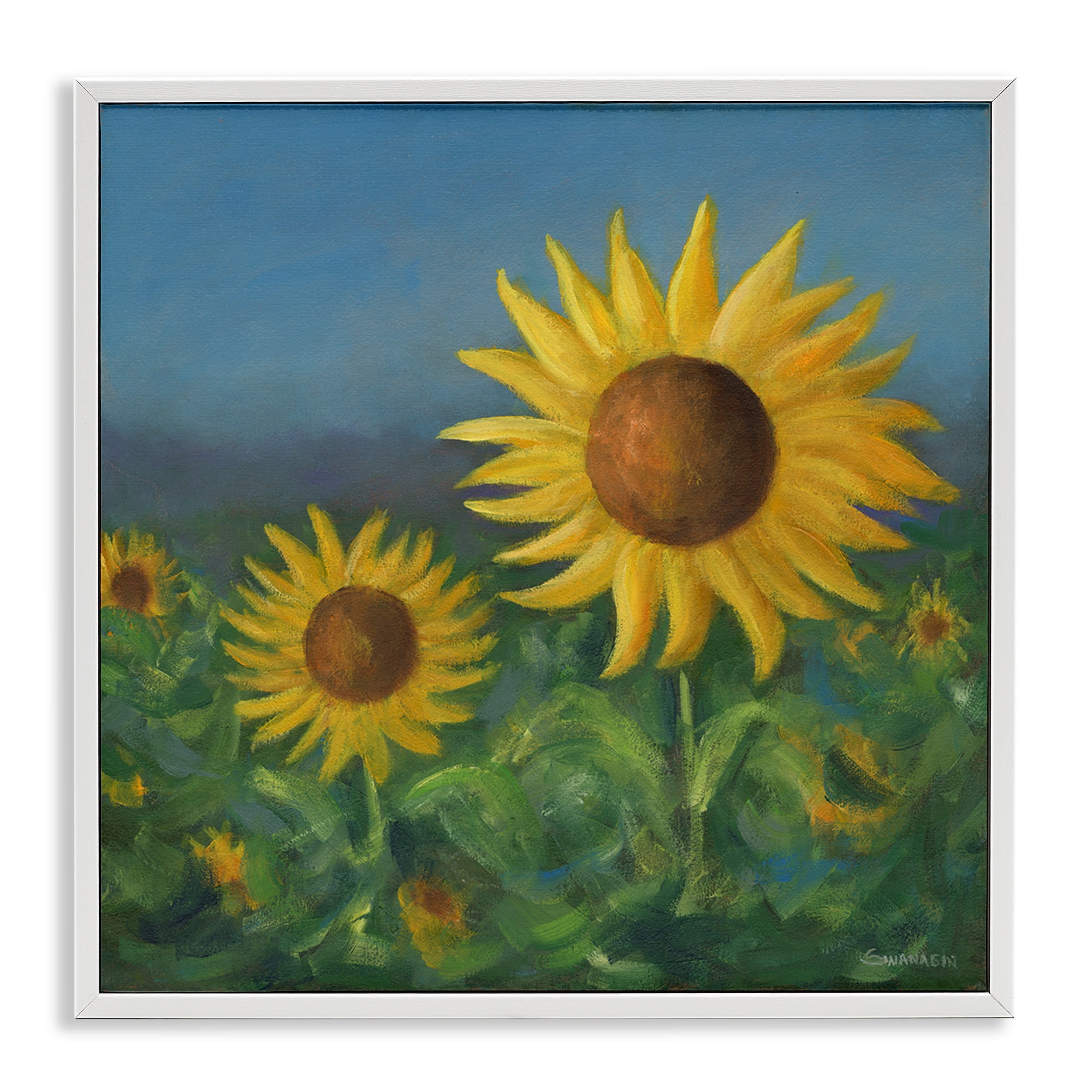 Stupell Industries Blooming Sunflower Meadow Botanical & Floral Painting White Framed Art Print Wall Art, 24 x 24