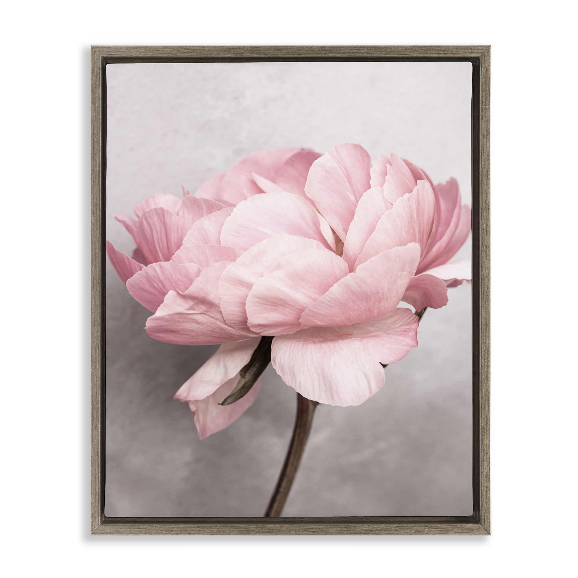 Stupell Industries Blooming Vintage Peony Plants & Flowers Painting Brown Floater Framed Canvas Art Print Wall Art, 17 x 21