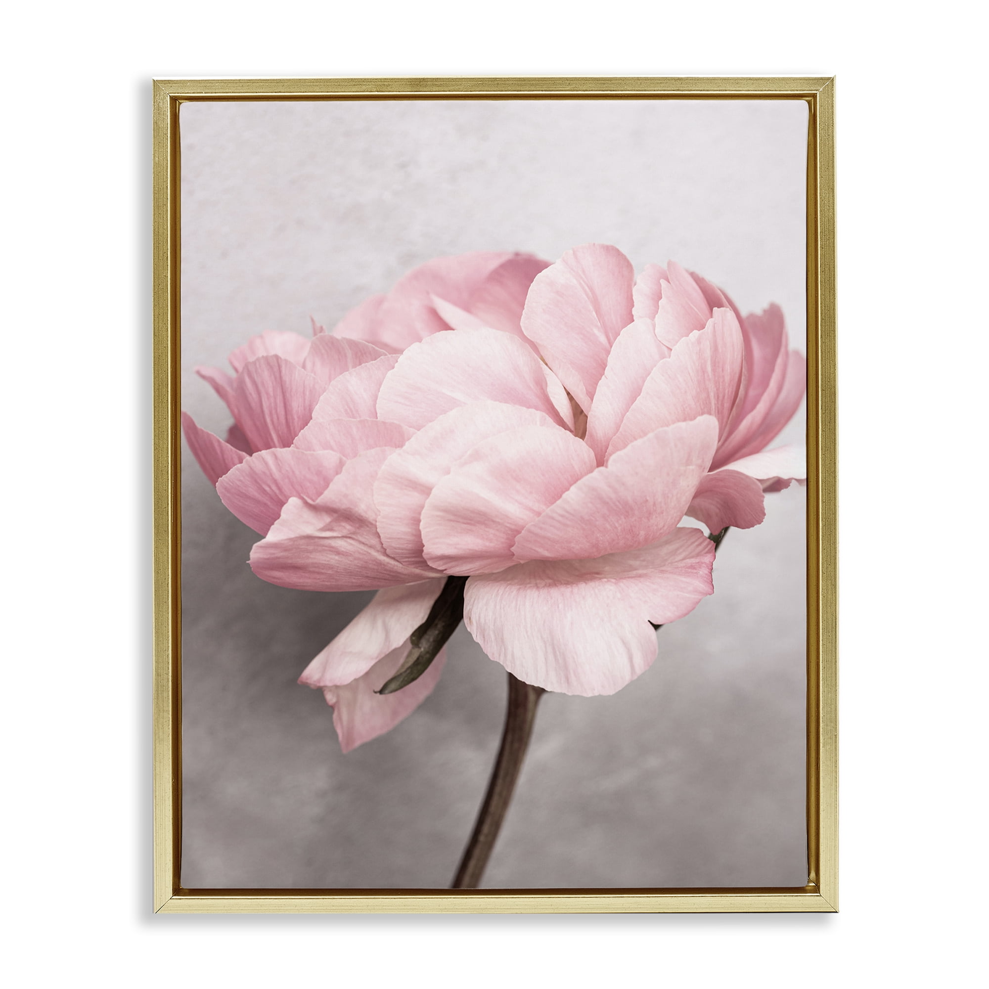 Stupell Industries Blooming Vintage Peony Plants & Flowers Painting Gold Floater Framed Canvas Art Print Wall Art, 17 x 21