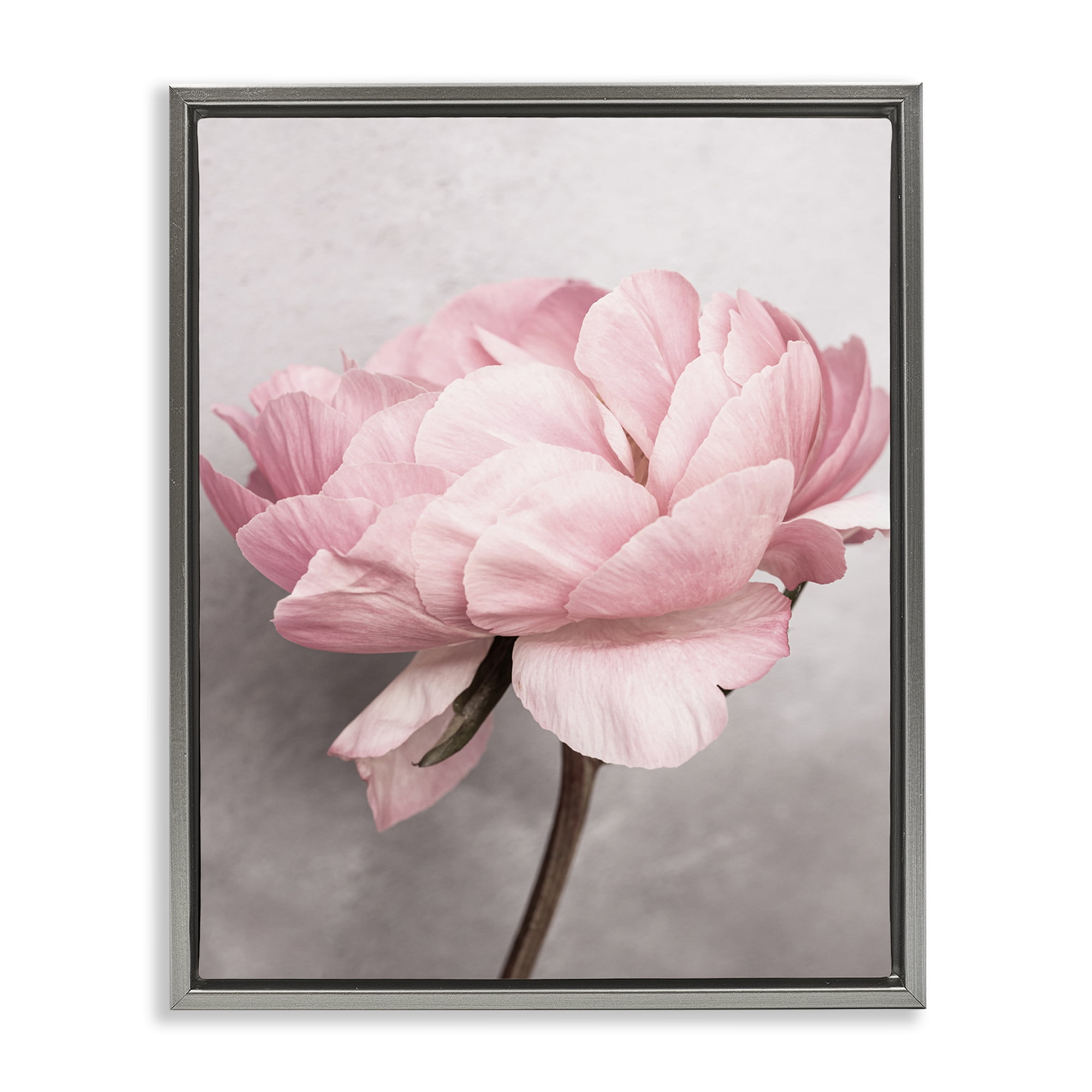 Stupell Industries Blooming Vintage Peony Plants & Flowers Painting Gray Floater Framed Canvas Art Print Wall Art, 25 x 31