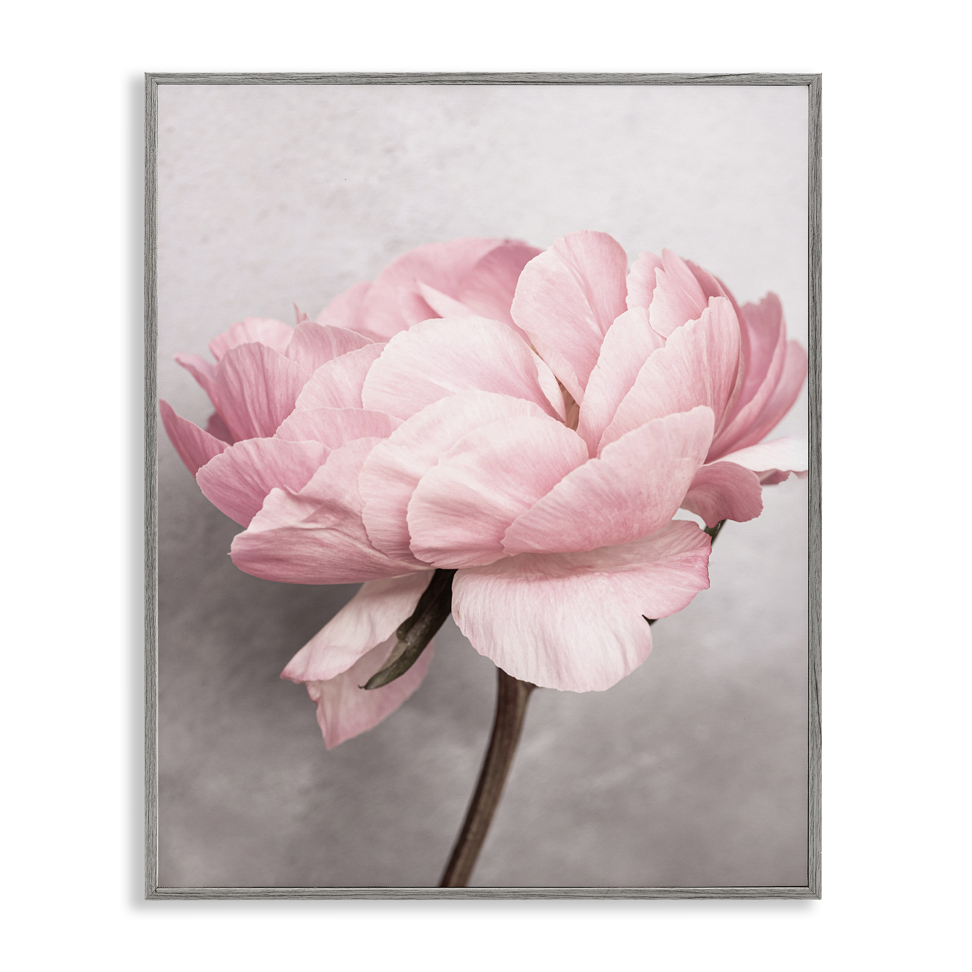 Stupell Industries Blooming Vintage Peony Plants & Flowers Painting Gray Framed Art Print Wall Art, 11 x 14