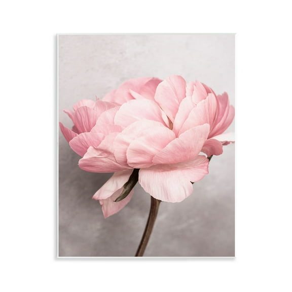 Stupell Industries Blooming Vintage Peony Plants & Flowers Painting Unframed Art Print Wall Art, 11 x 14