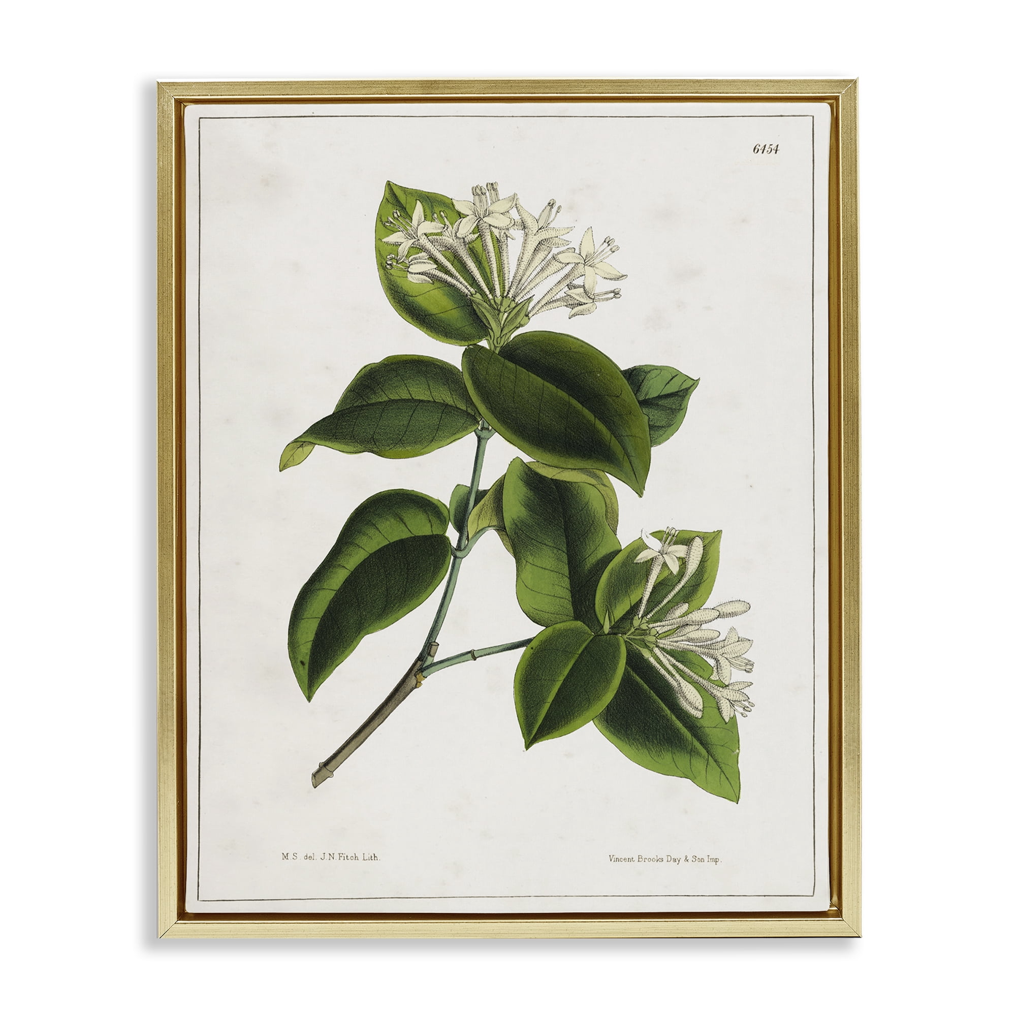 Stupell Industries Blooming Vintage Study Plants & Flowers Painting Gold Floater Framed Canvas Art Print Wall Art, 17 x 21