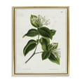 thumbnail image 1 of Stupell Industries Blooming Vintage Study Plants & Flowers Painting Gold Floater Framed Canvas Art Print Wall Art, 17 x 21, 1 of 10