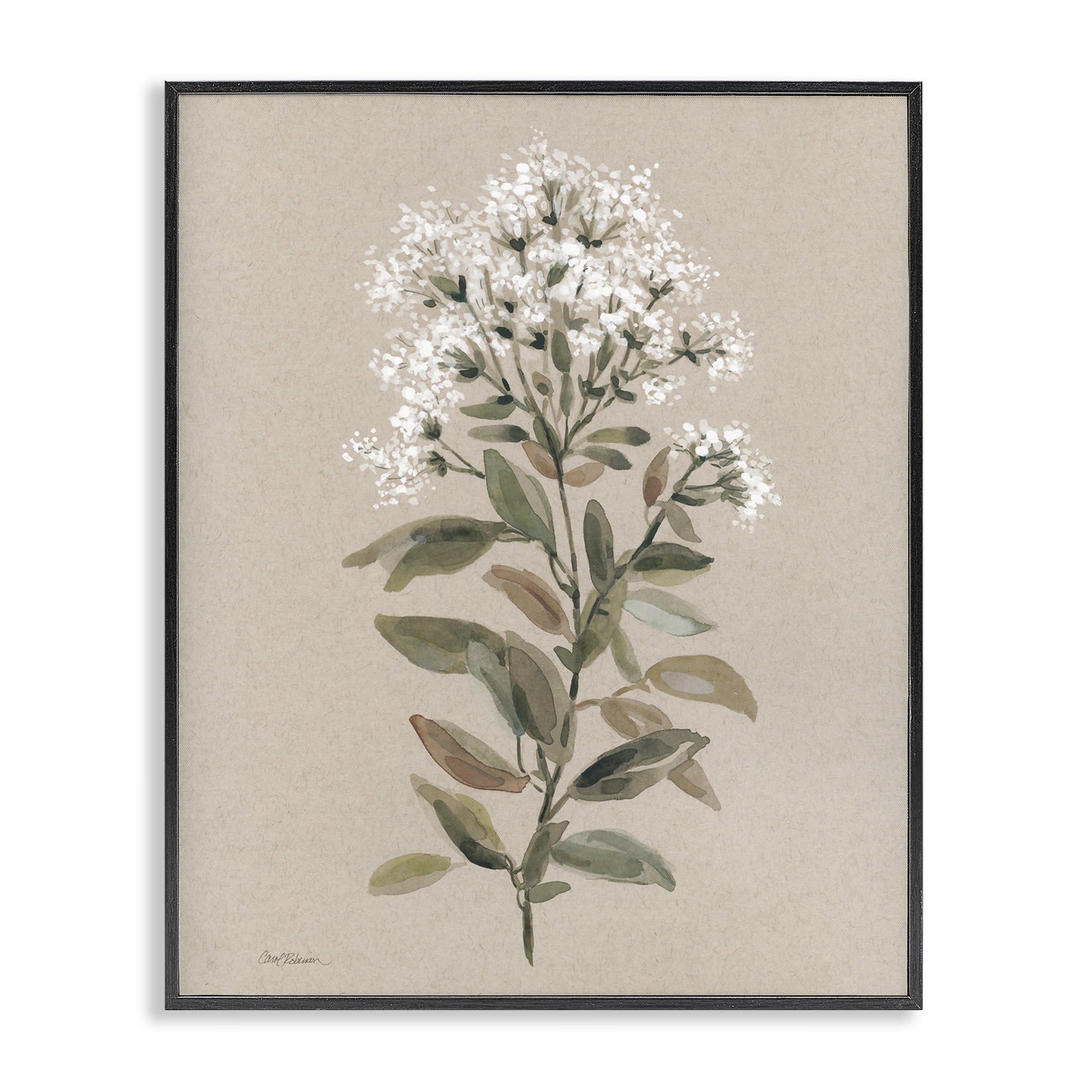 Stupell Industries Blooming Watercolor Flower Botanical & Floral Painting Black Framed Art Print Wall Art, 24 x 30